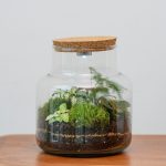 Tapón Rústico con luz - Terrario Mediano (17x22cm) +10,00&euro;