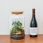 Tapón Rústico - Terrario Grande (22 cm diámetro x 30 cm alto) +20,00&euro;