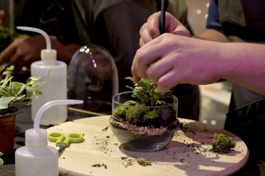 taller de terrarios en barcelona