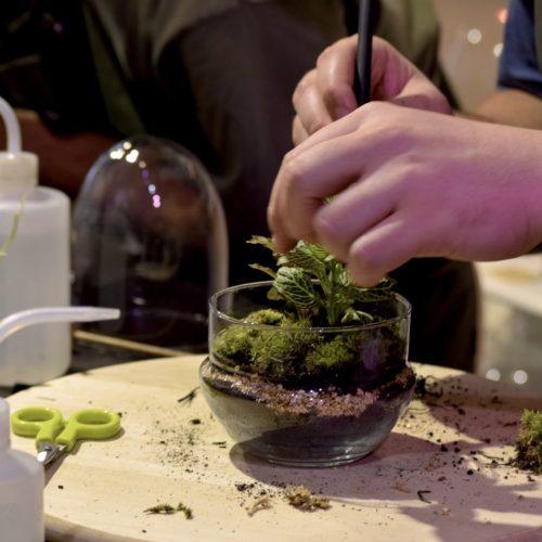 taller de terrarios en barcelona