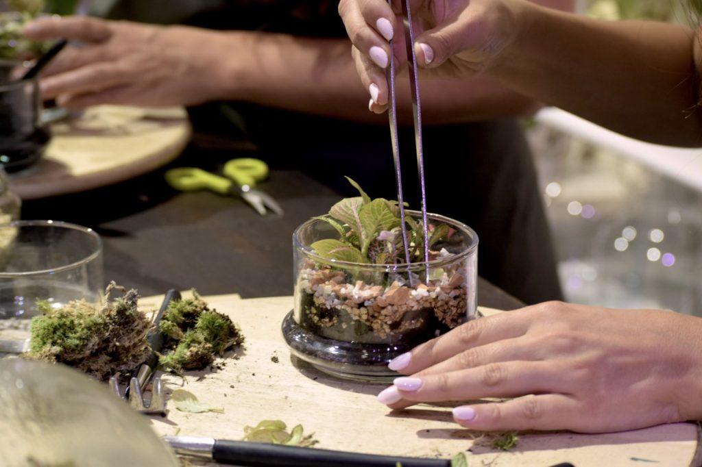 taller de terrarios en barcelona