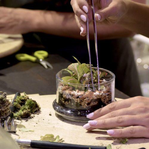 taller de terrarios en barcelona