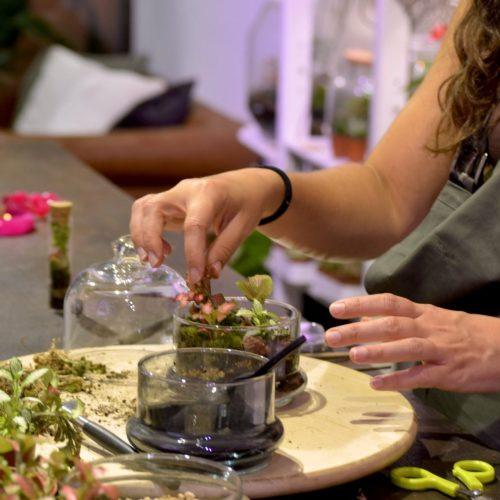 taller de terrarios en barcelona