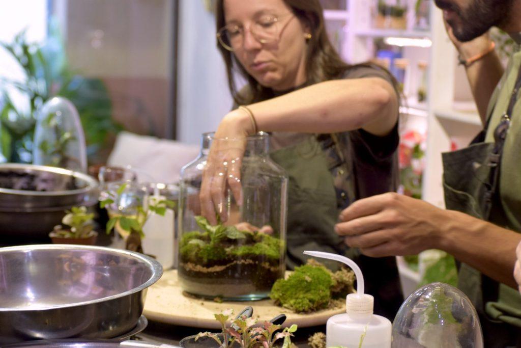 taller de terrarios en barcelona