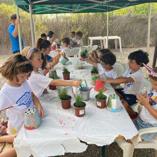 Escuelas: Educación Ambiental