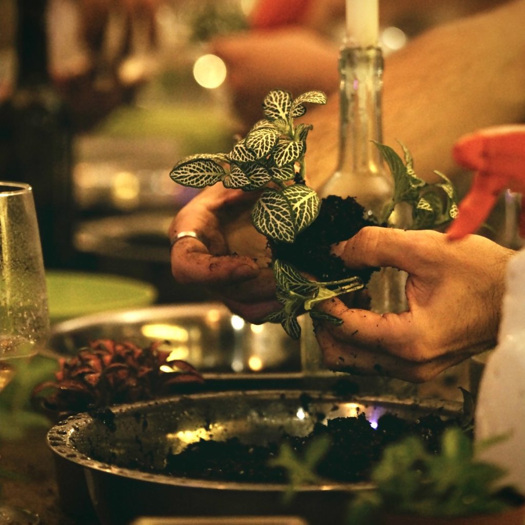 taller de terrarios en barcelona