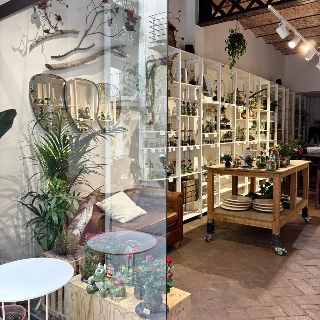 nuestro espacio en el barrio de gracia
