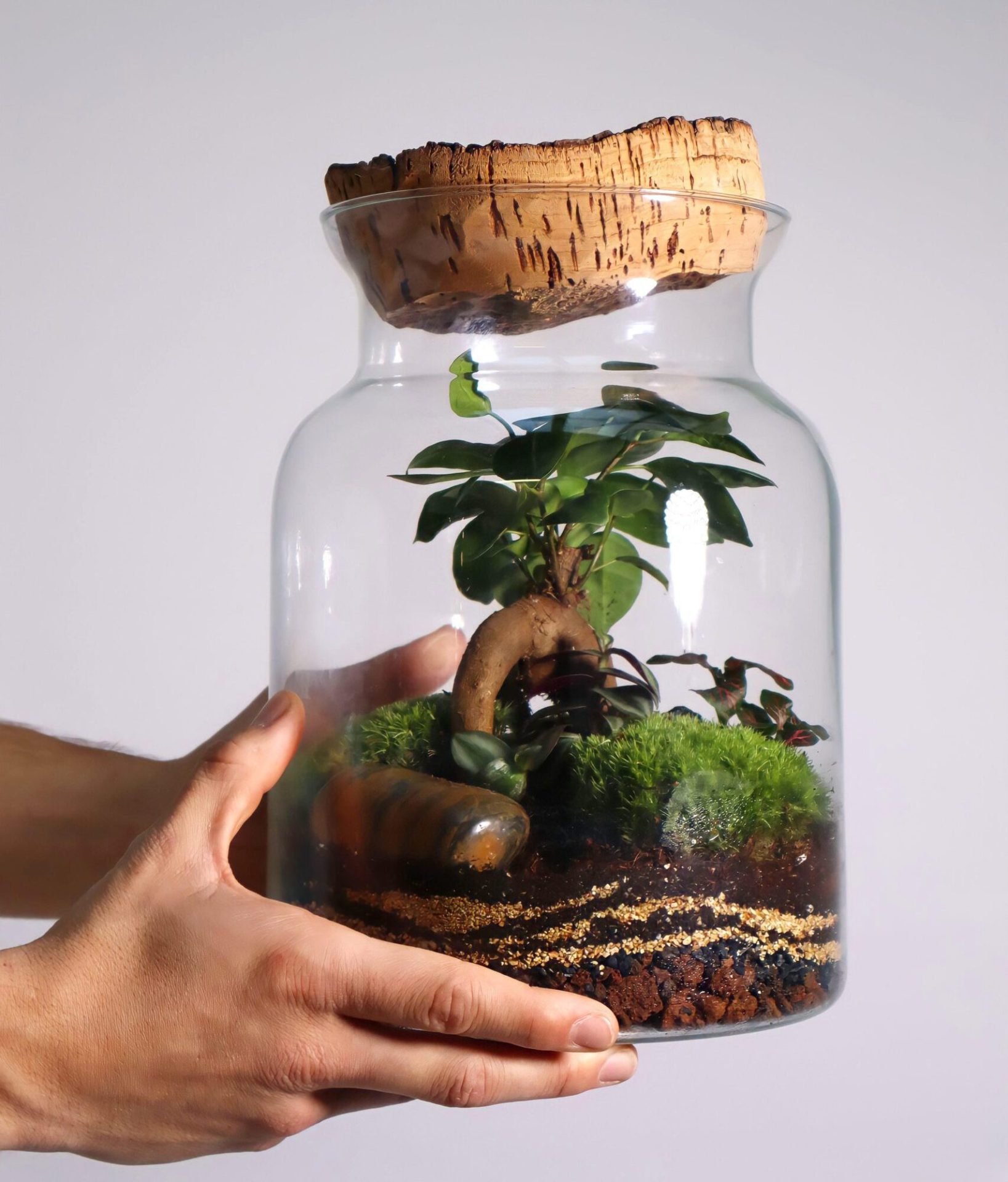 Rustic Jungle - JungleMows