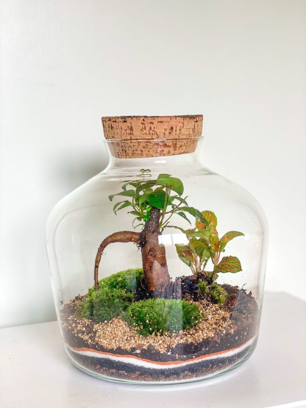 Rustic Jungle - JungleMows