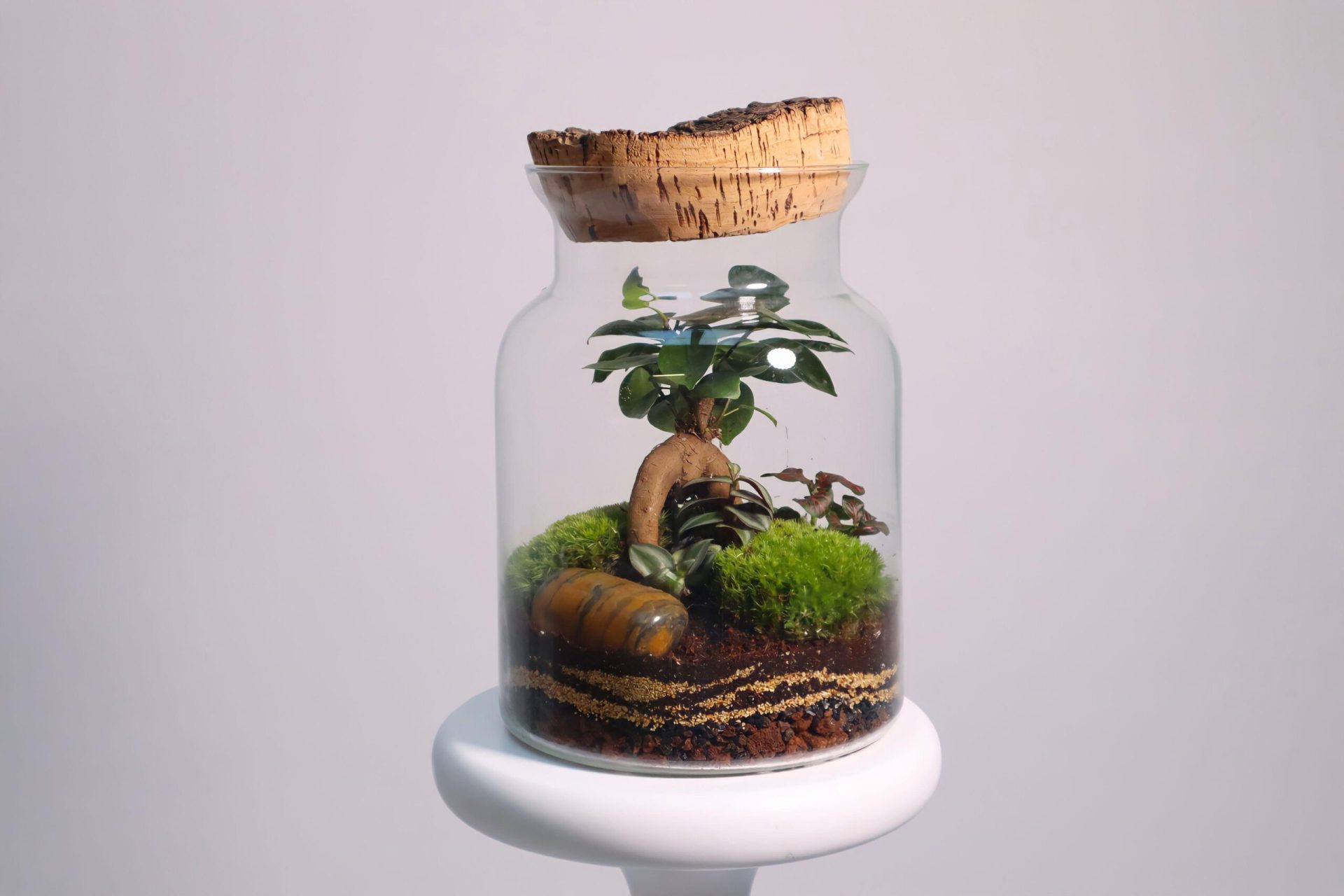 Rustic Jungle - JungleMows