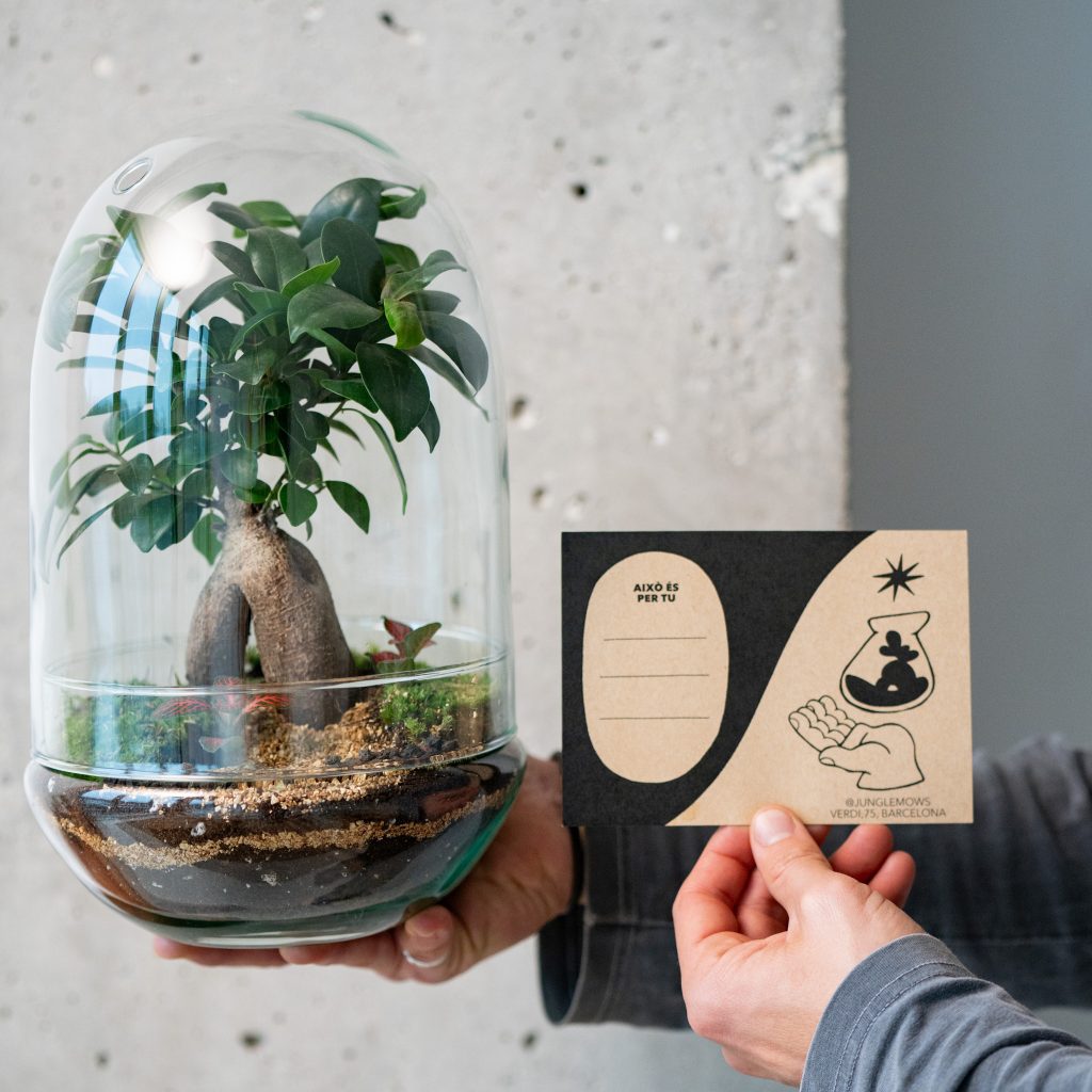 TALLER DE TERRARIOS REGALO