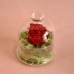 Campanilla (15 cm alto x 12 cm diámetro)
