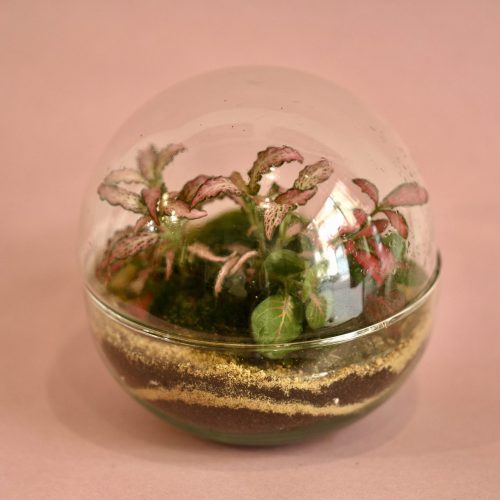 Fit ball