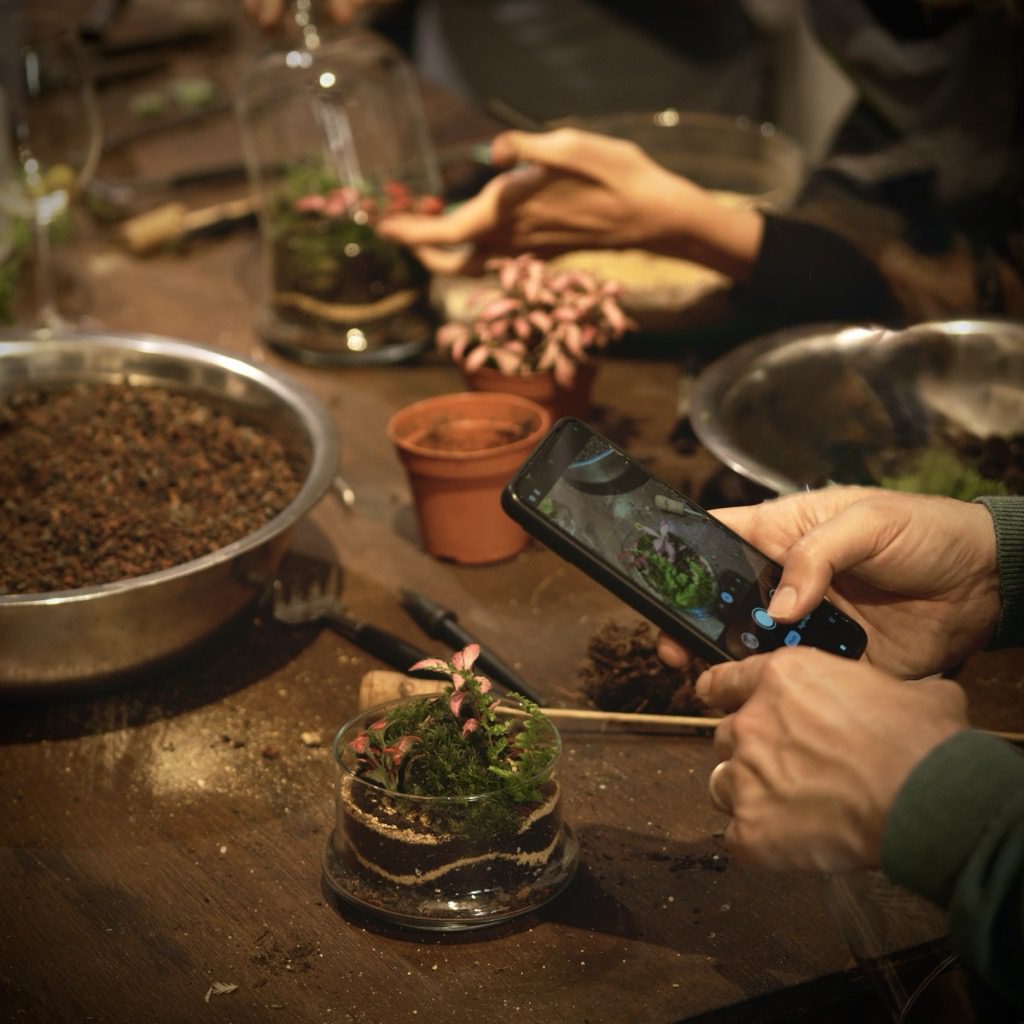 Taller de plantas para empresas en Barcelona