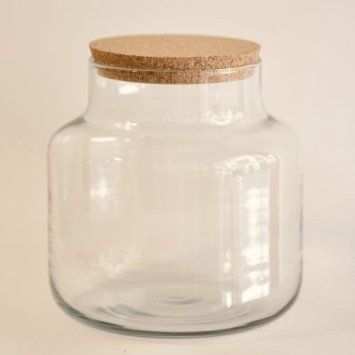 Recipiente de Cristal para Terrarios