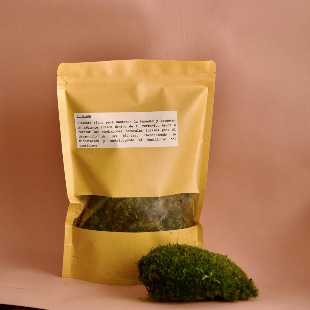 DIY Terrarium Kit - Without Container - Imagen 4