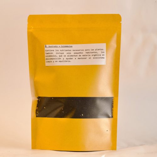 sustrato y colembolos para terrarios