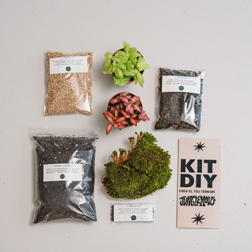 kit para terrarios