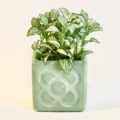 maceta cemento panot barcelona