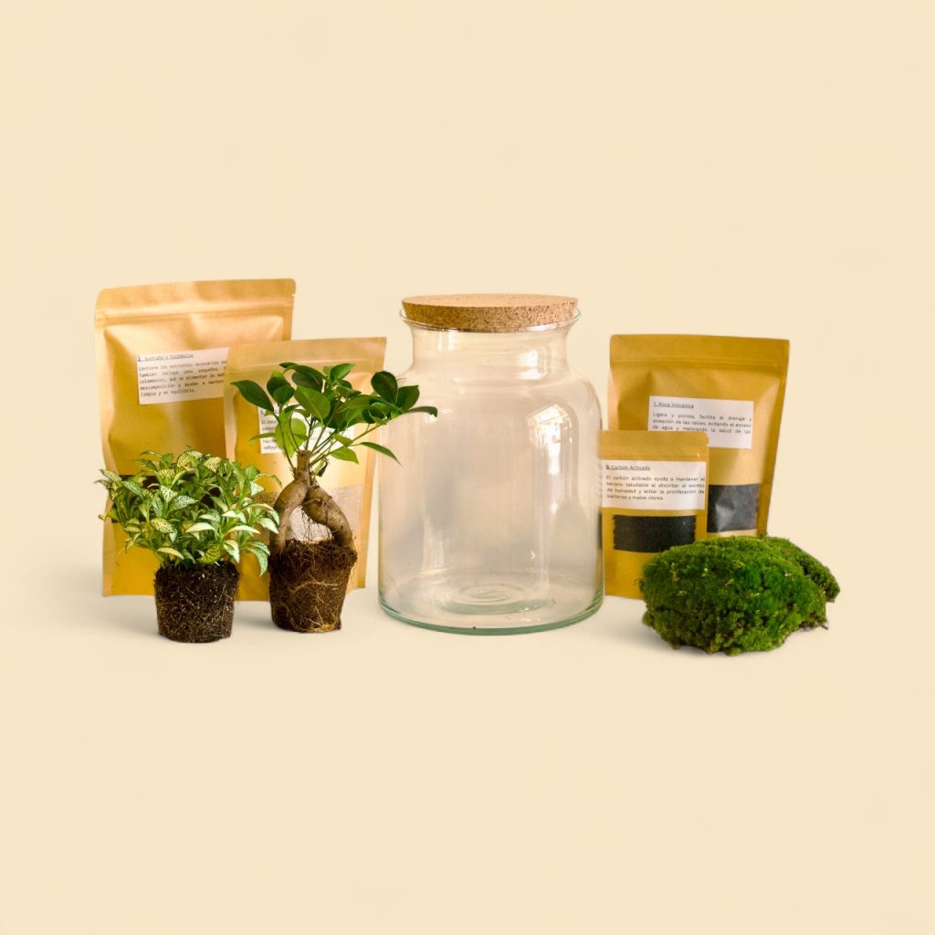 kit do it yourself terrarios