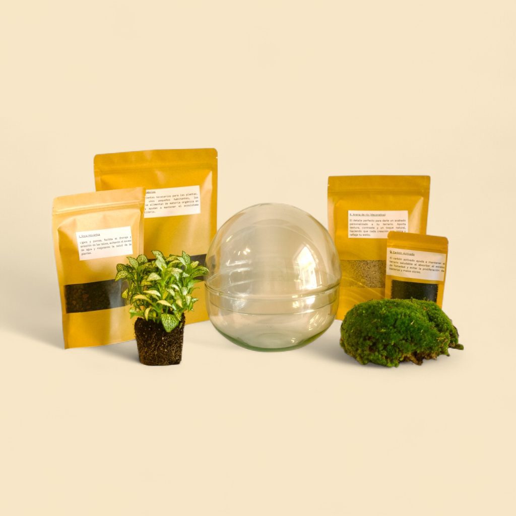 kit do it yourself terrarios