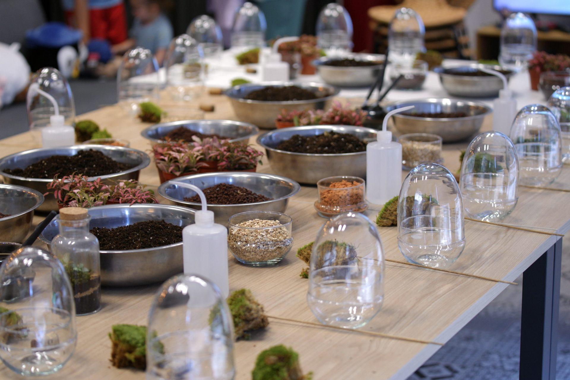 Team Buildings en Bilbao con plantas - Imagen 6