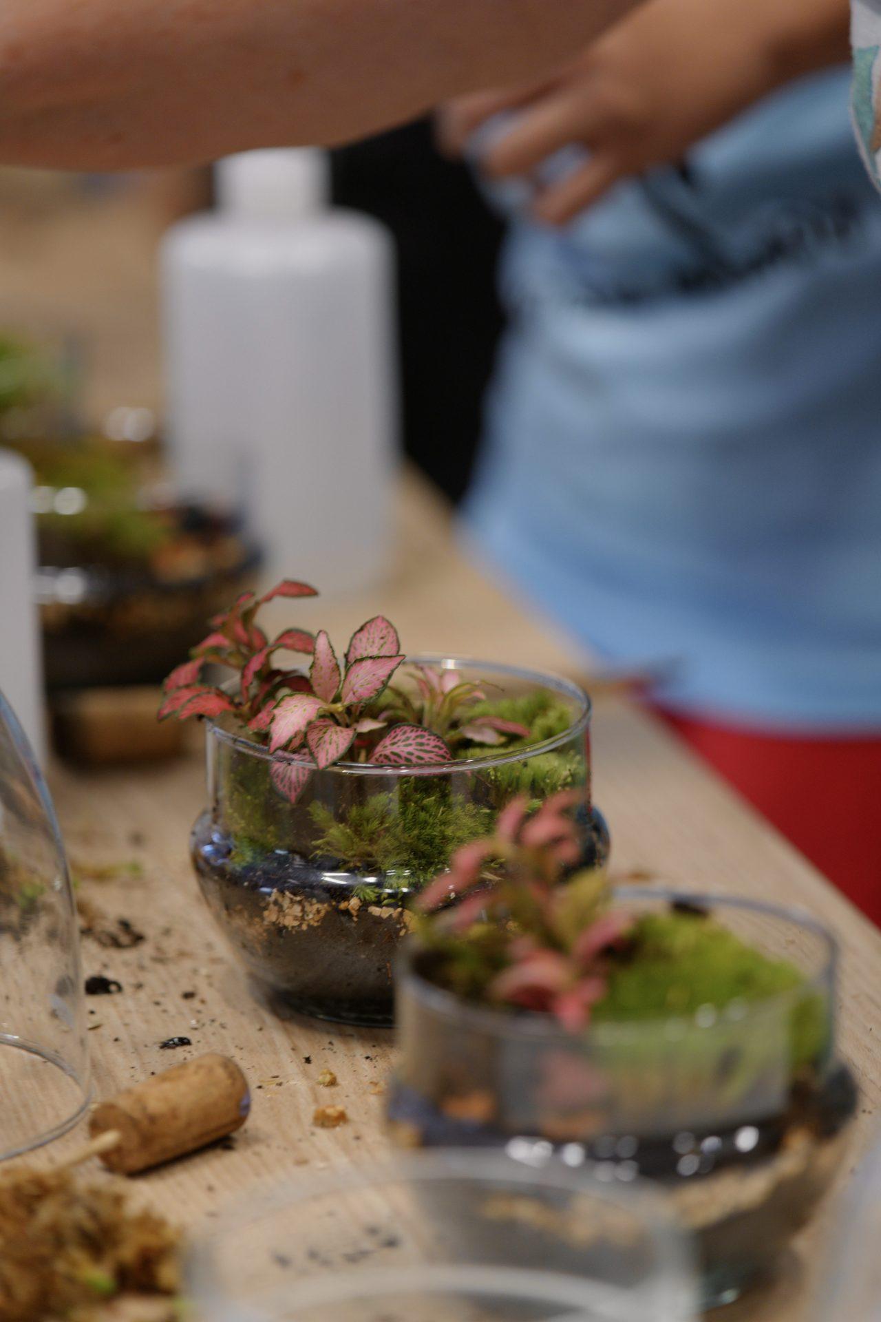 Team Buildings en Valencia con plantas - Imagen 7