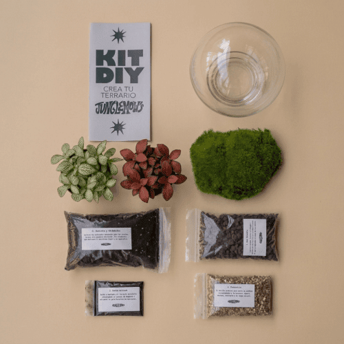 kit terrario esfera